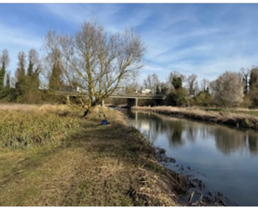 link to River Gipping Trust Website